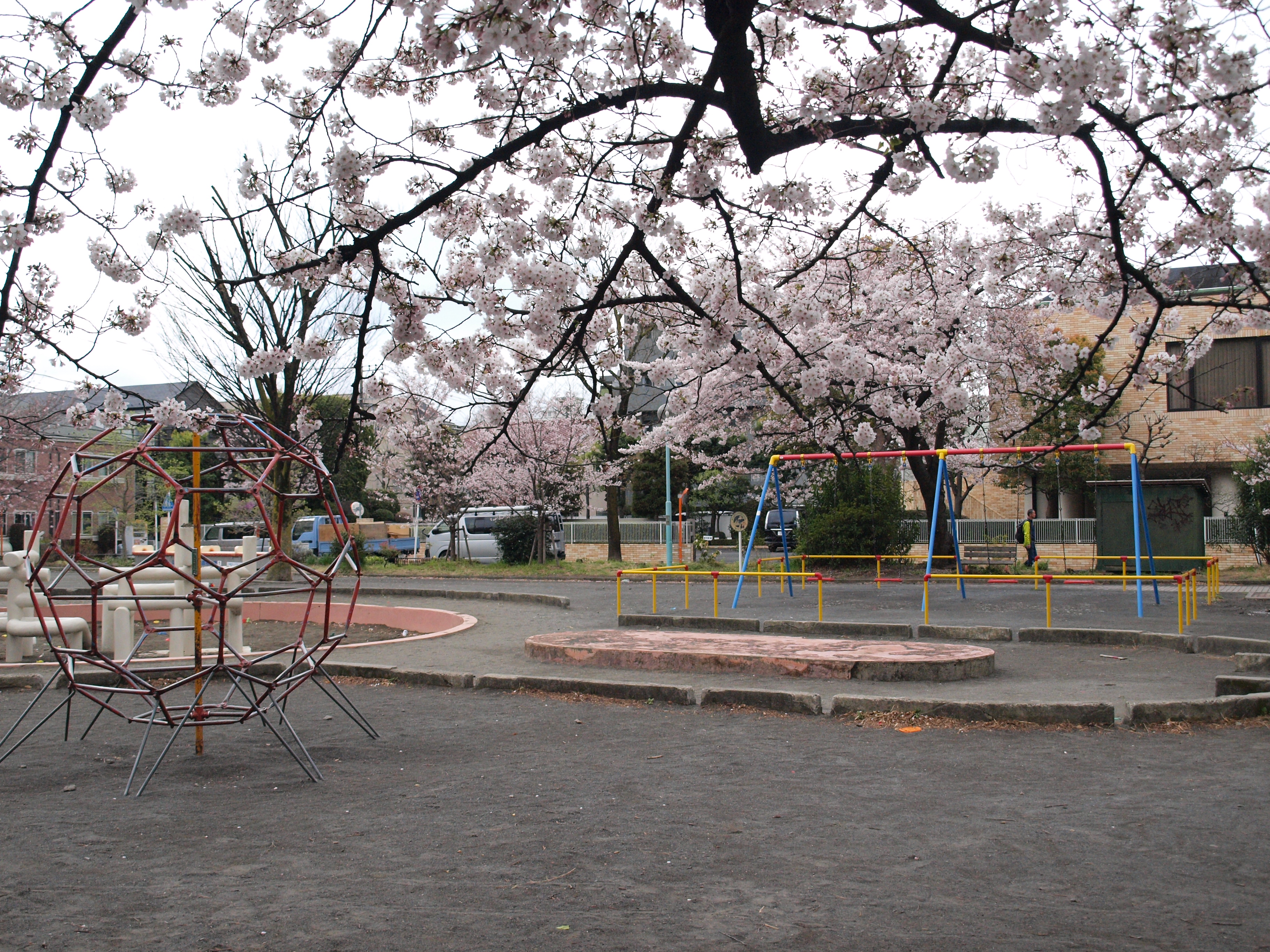 中原平和公園の桜