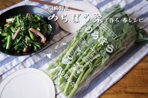 のらぼう菜レシピ